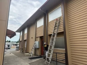 House Painting